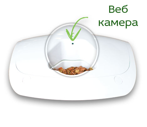 Кормушка с камерой